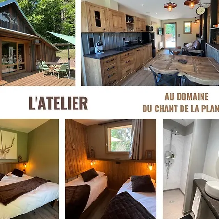 Domaine Du Chant De La Planche - - Hautes Vosges Holiday home *