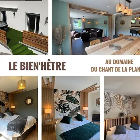 Domaine Du Chant De La Planche - - Hautes Vosges Holiday home Saulxures-sur-Moselotte